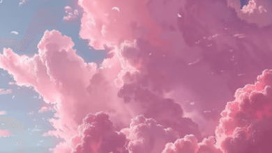 Wallpaper:1j4txwcld5y= Pink Background Aesthetic
