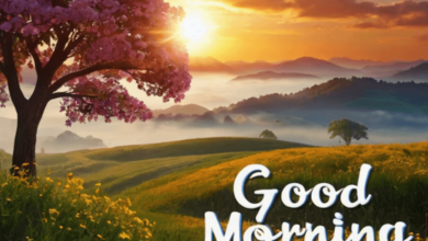 Wallpaper:9anby0dh9ue= Good Morning