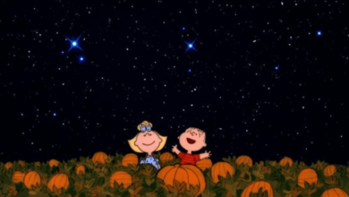 Wallpaper:9qqf4kwnrik= Great Pumpkin Charlie Brown