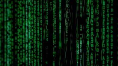 data inspection of numbers